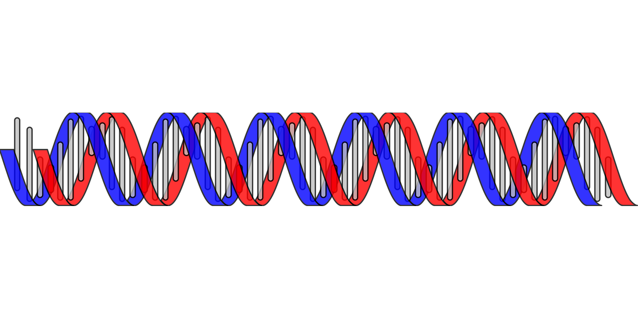 entdecken sie die faszinierende welt der genetik: von dna-strukturen bis zu genetischen erkrankungen und modernen forschungstechniken.