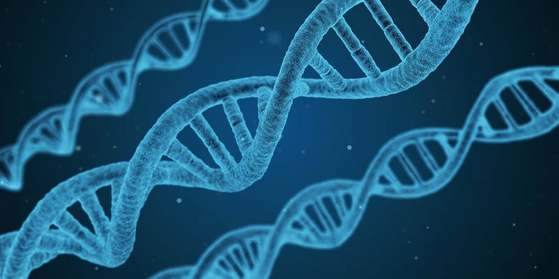 Welchen Einfluss hat die Genetik auf orthopädische Probleme?